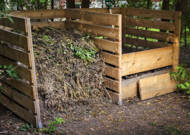 Компост в домашніх умовах: простий спосіб отримати цінне добриво