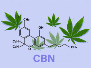 Баночка з етикеткою CBN на фоні з природними елементами — ілюстрація спокою та релаксу, пов’язана з канабіноїдами