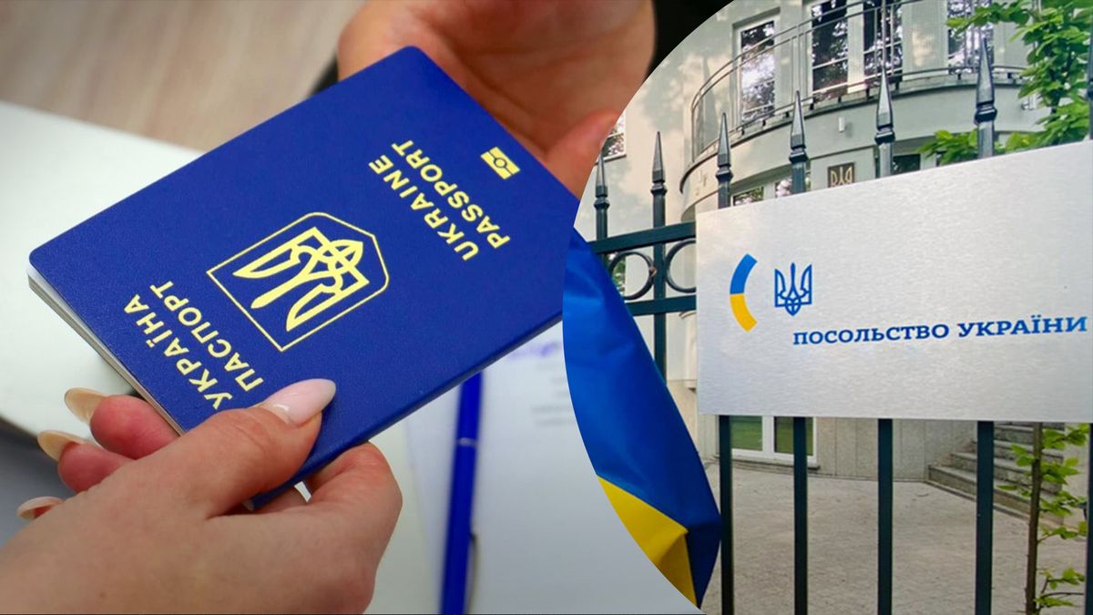 Отказ от гражданства: мотивы, трудности, последствия и альтернативы