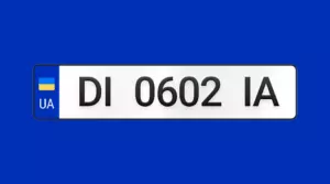 Ряд автомобільних номерних знаків різних типів — варіанти шрифтів, форматів і регіональних кодів