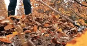 Домашній компост у стадії перегнивання: темна органічна маса, багата вологою й структурами, готова стати добривом для ґрунту