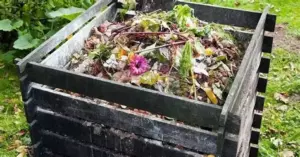 Контейнер з компостованими органічними відходами: залишки фруктів, овочів та садових обрізків підготовлені для створення натурального добрива