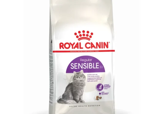 Как Zootovary помогает подобрать Royal Canin под индивидуальные потребности кошек