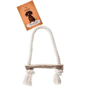 Іграшки для собак у Києві: розвиток і активність разом із Кусьо